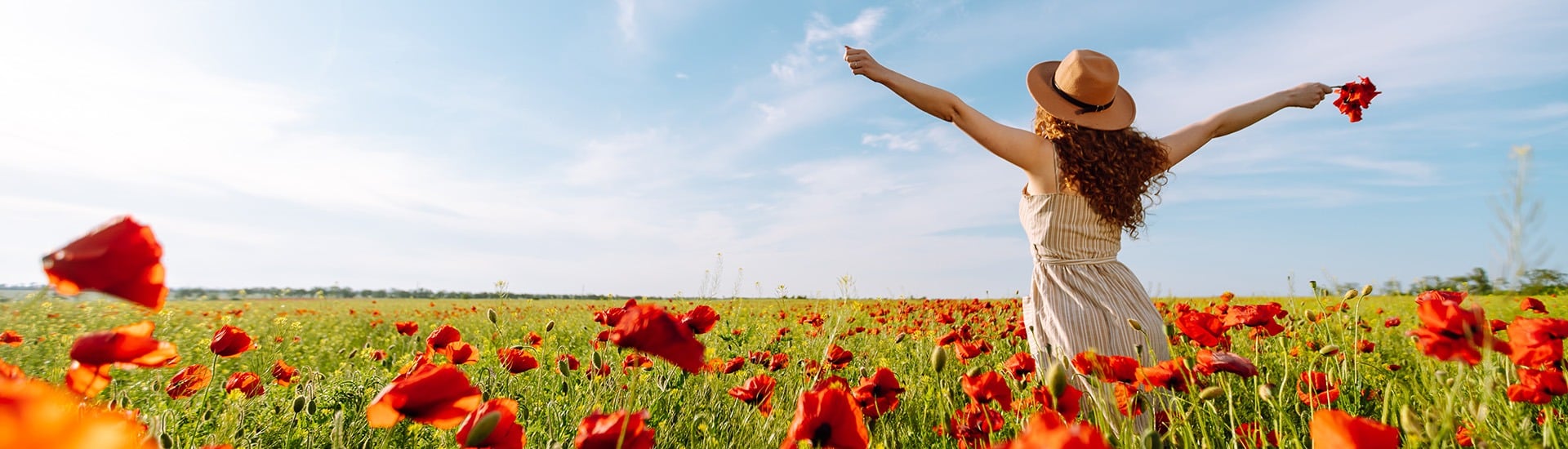 Olympic and Paralympic Games