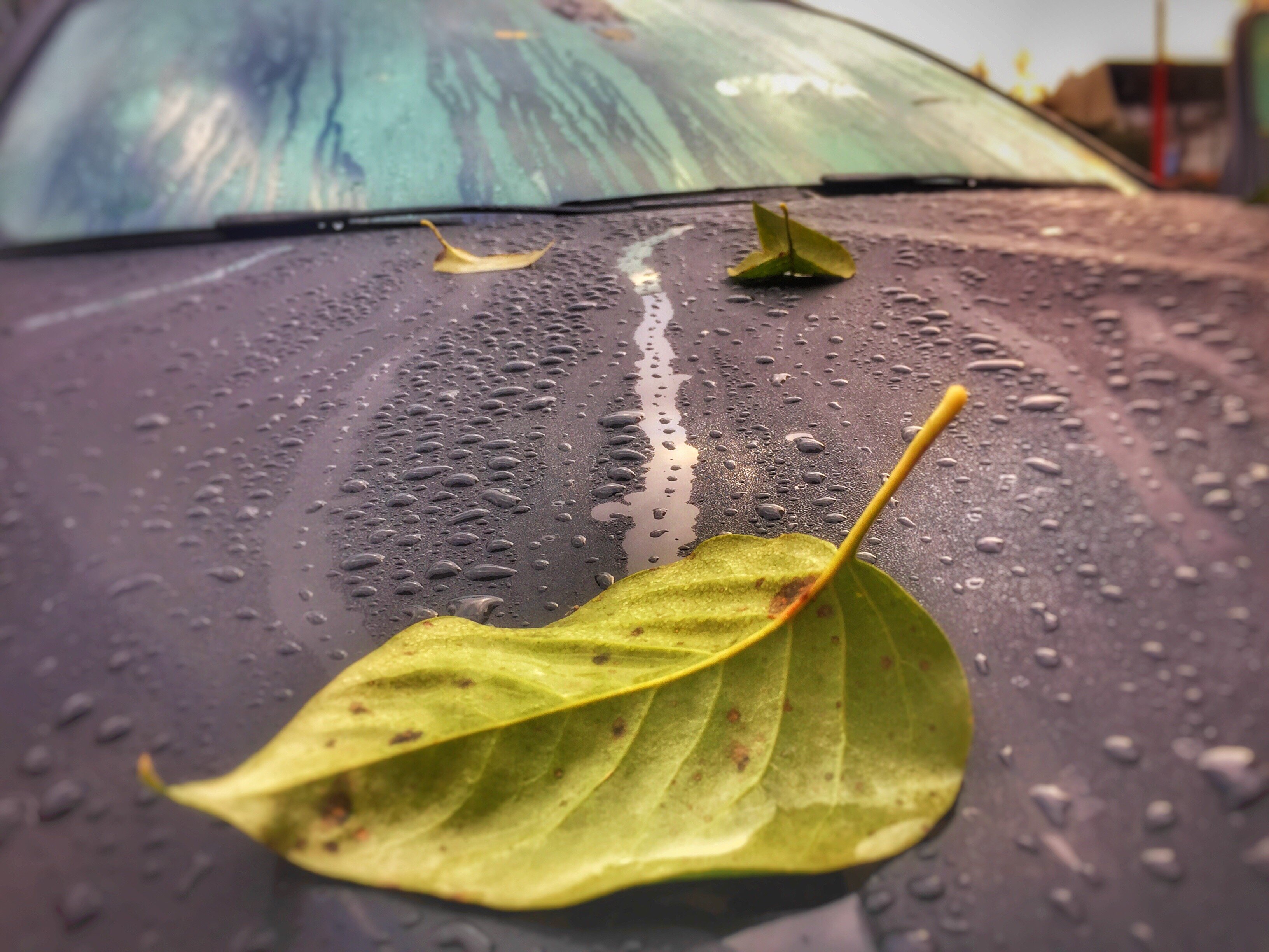 useful description of image if informative and not decoration only.