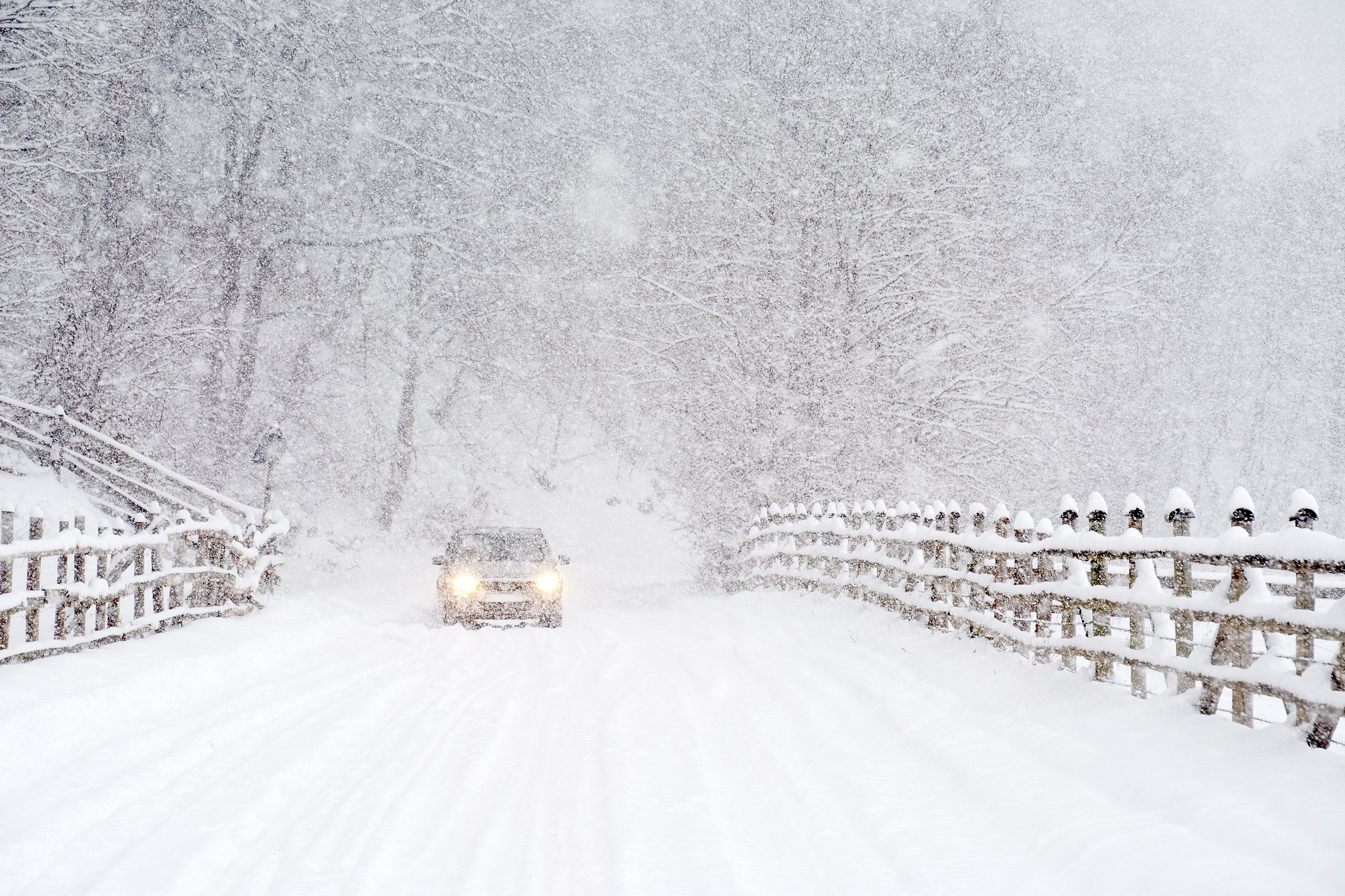 useful description of image if informative and not decoration only.